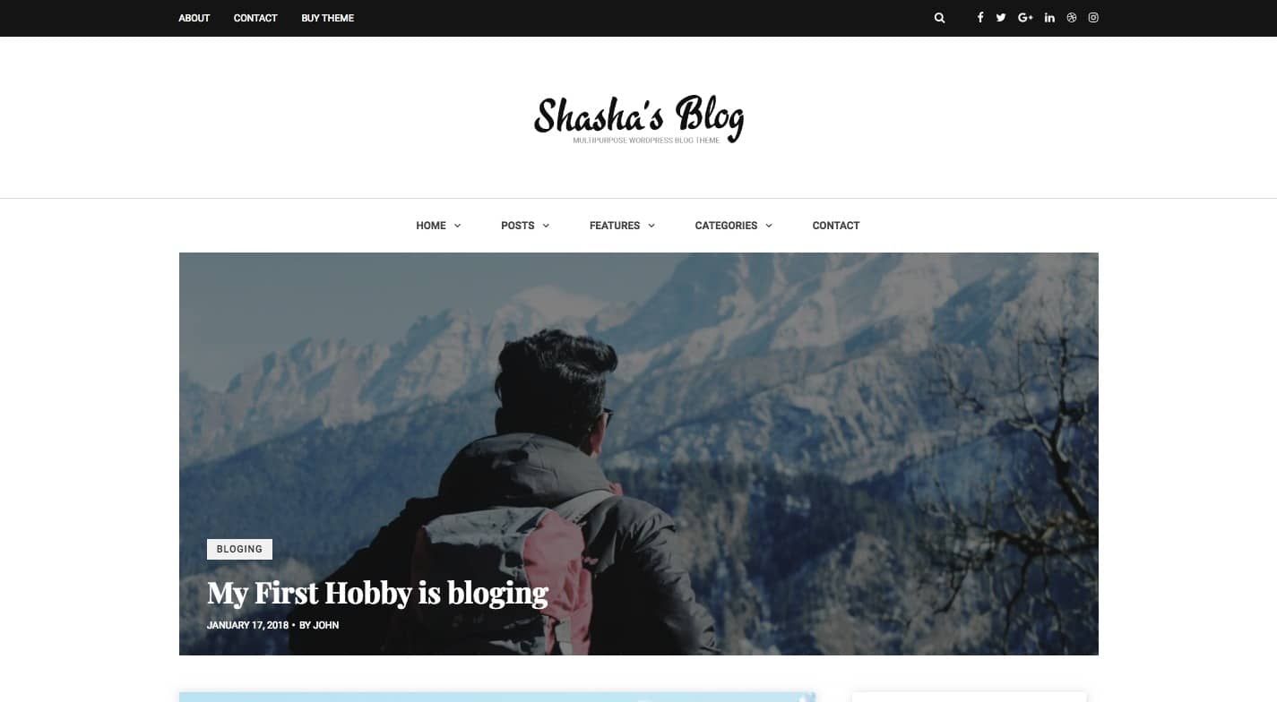 Shasha WordPress Theme