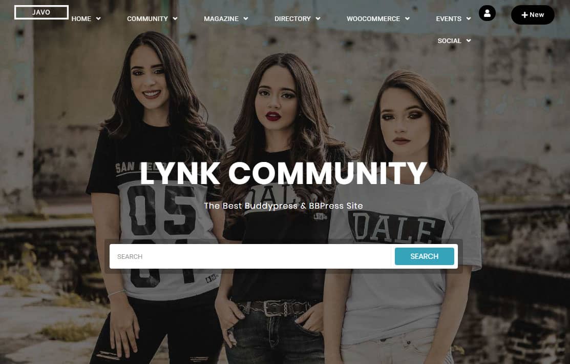 Lynk WordPress Theme
