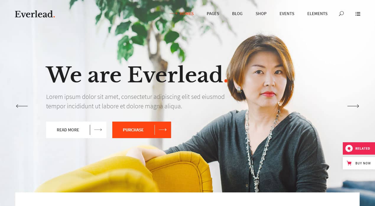 Everlead WordPress Theme