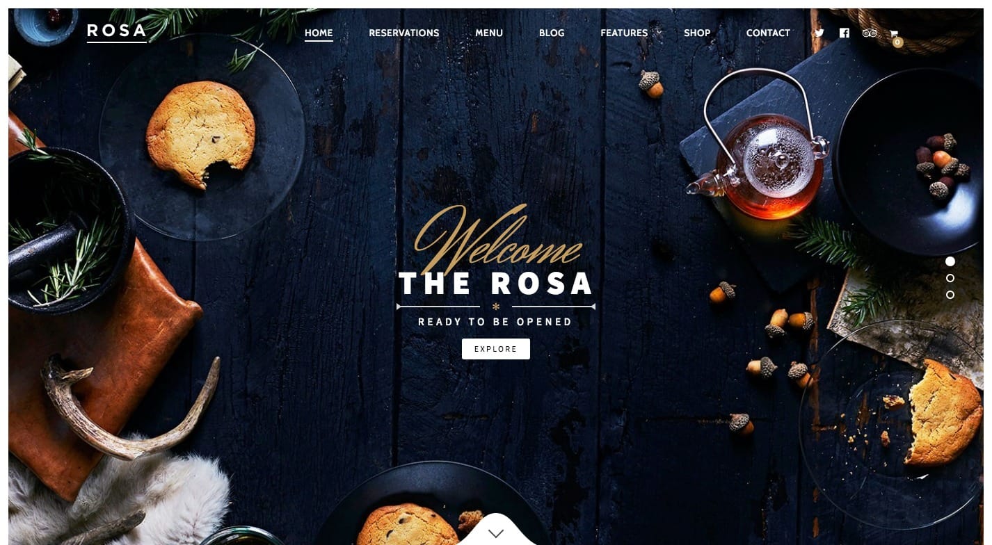 ROSA WordPress Theme